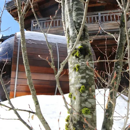 Les 3 Cimes Blanches Шале